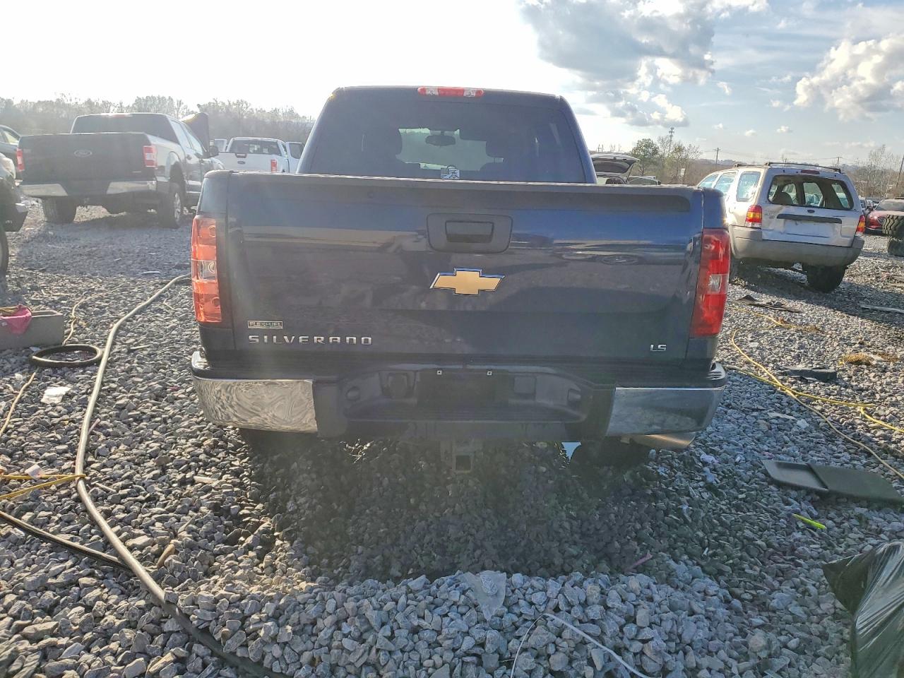 2010 CHEVROLET SILVERADO K1500 LS photo 11