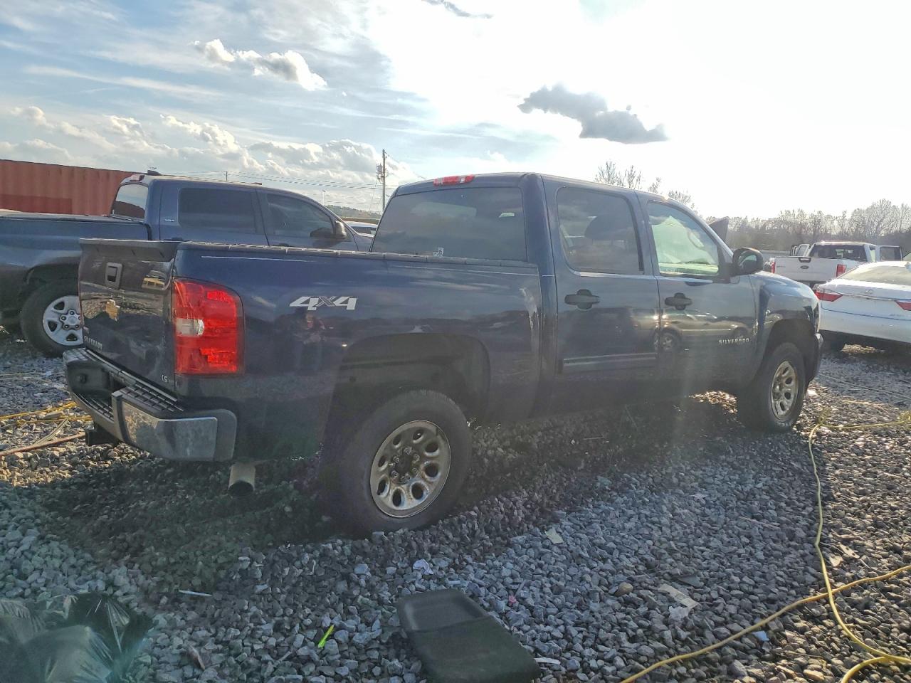 2010 CHEVROLET SILVERADO K1500 LS photo 5