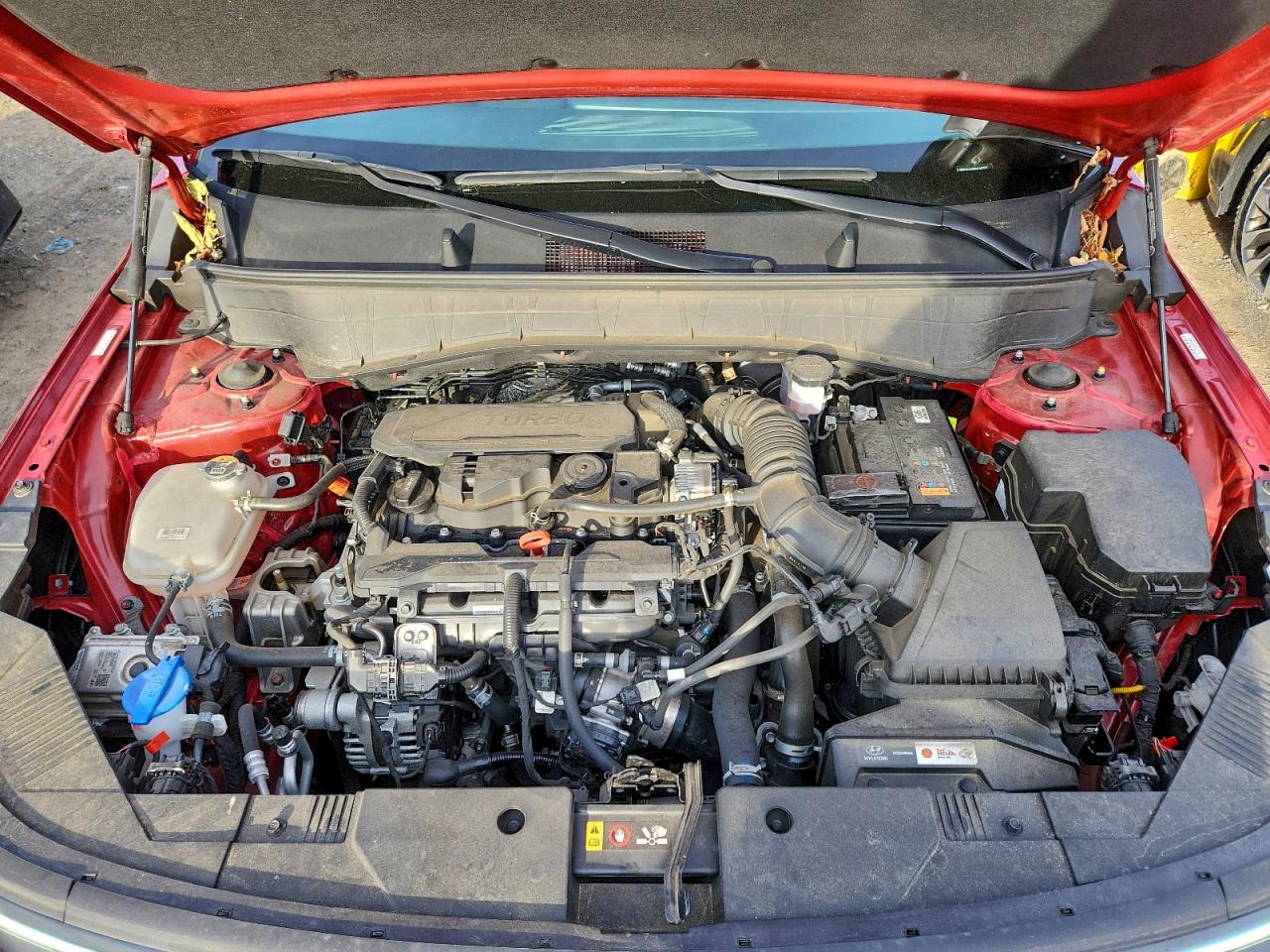 2024 HYUNDAI KONA LIMITED photo 12