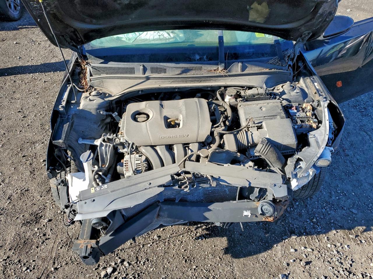 2019 KIA FORTE FE photo 11