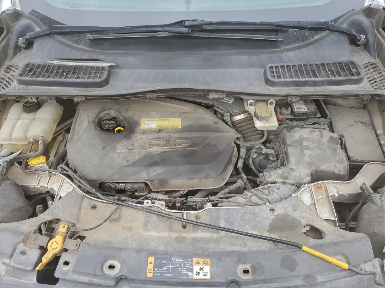 2013 FORD ESCAPE SEL photo 11