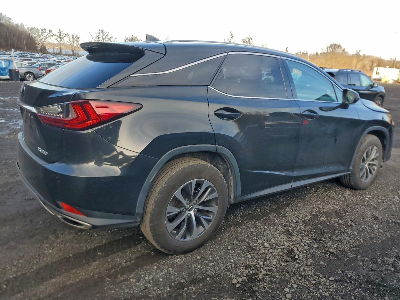 2020 LEXUS RX 350 photo 5