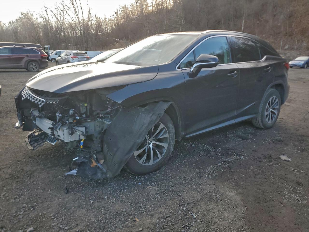 2020 LEXUS RX