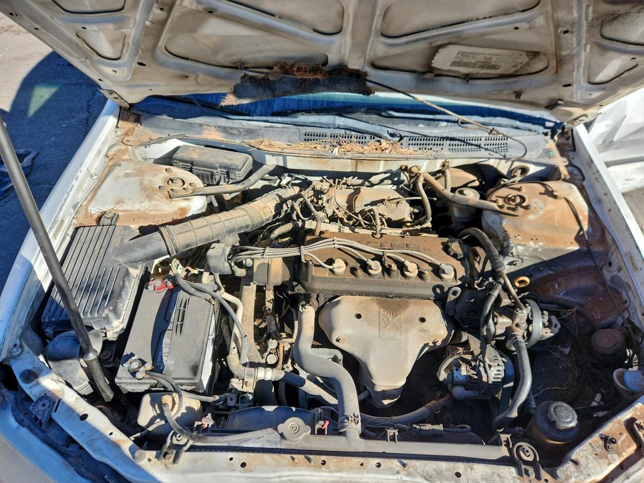 2000 HONDA ACCORD DX photo 11