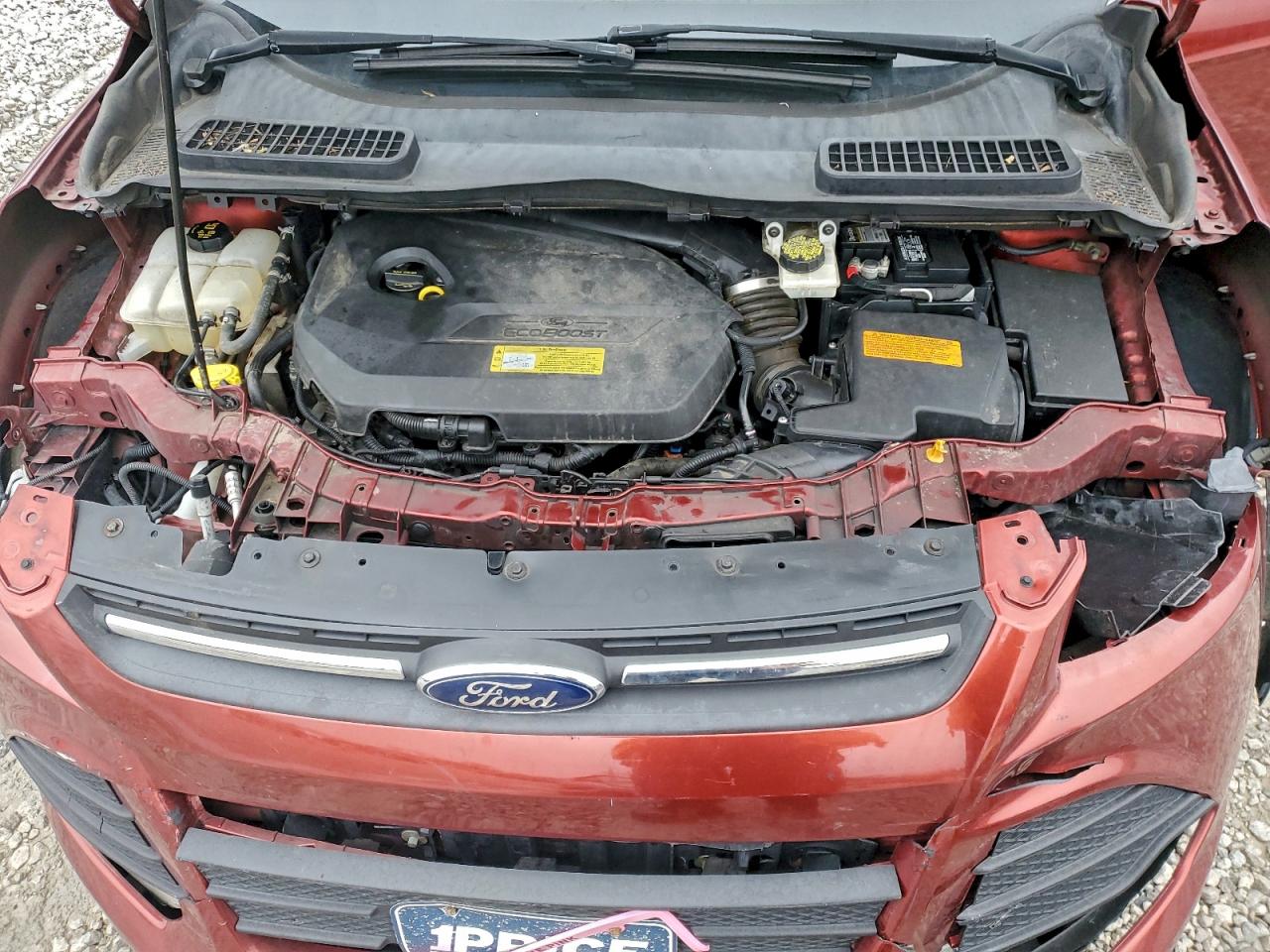 2014 FORD ESCAPE SE photo 11