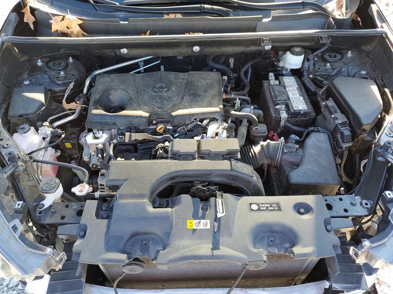 2021 TOYOTA RAV4 LE photo 12