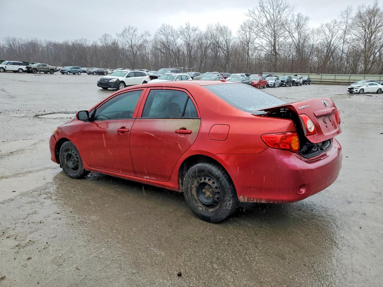 2010 TOYOTA COROLLA BASE photo 2