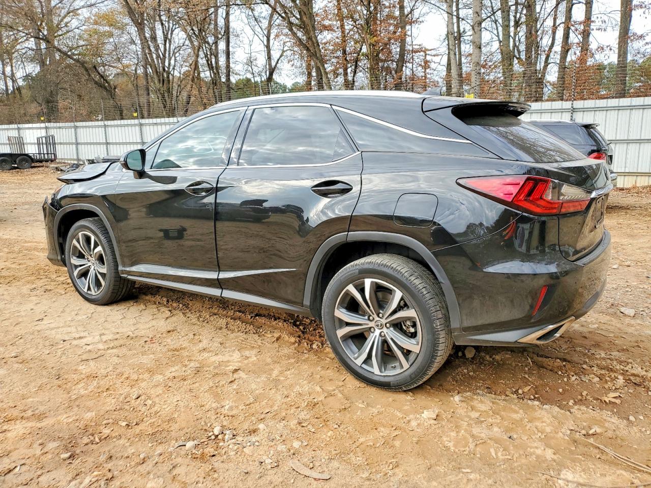 2019 LEXUS RX 350 BASE photo 2