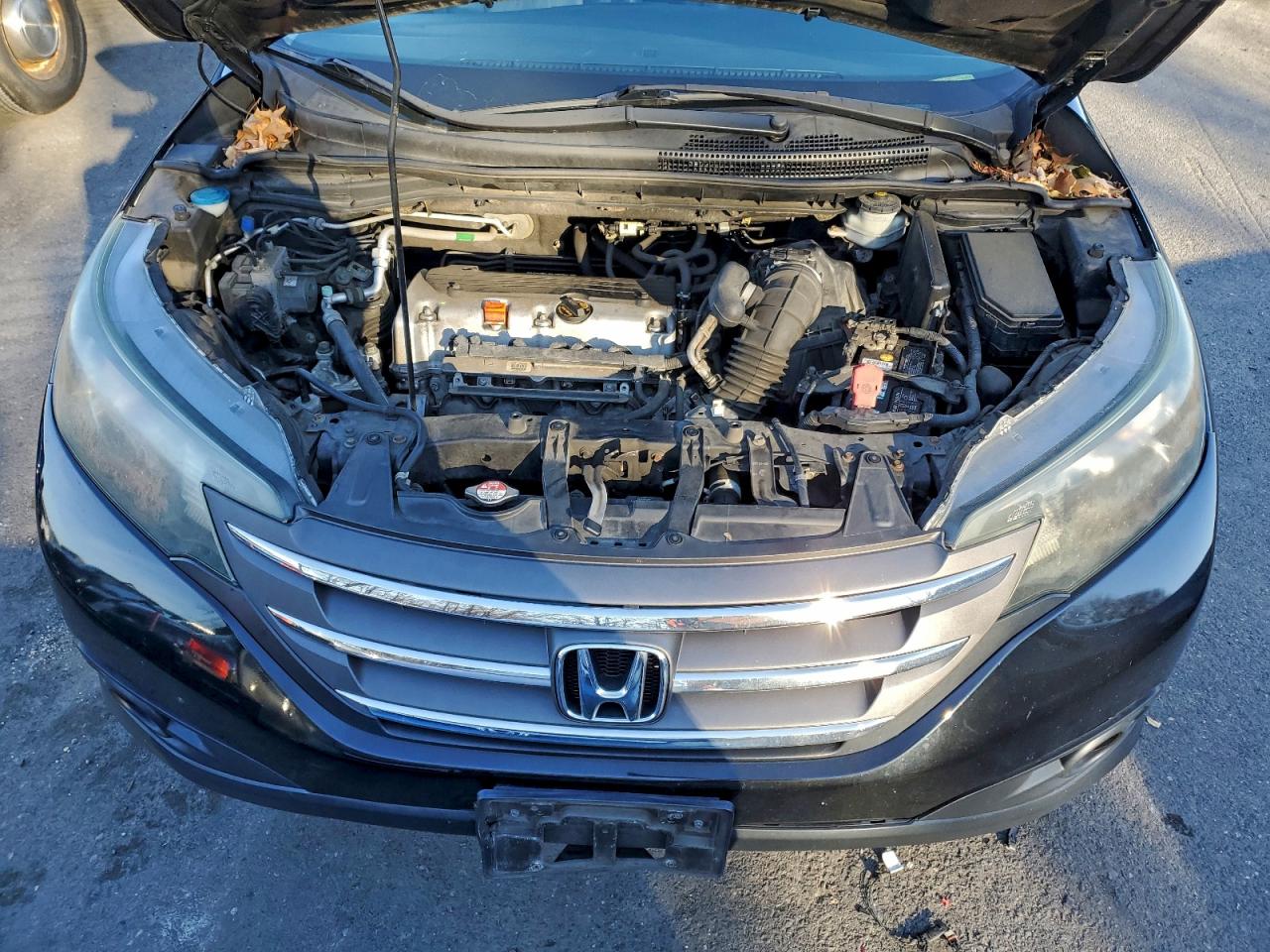 2014 HONDA CR-V EX photo 12