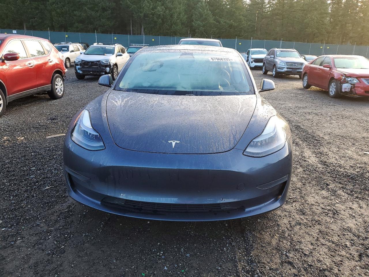 2021 TESLA MODEL 3 photo 5