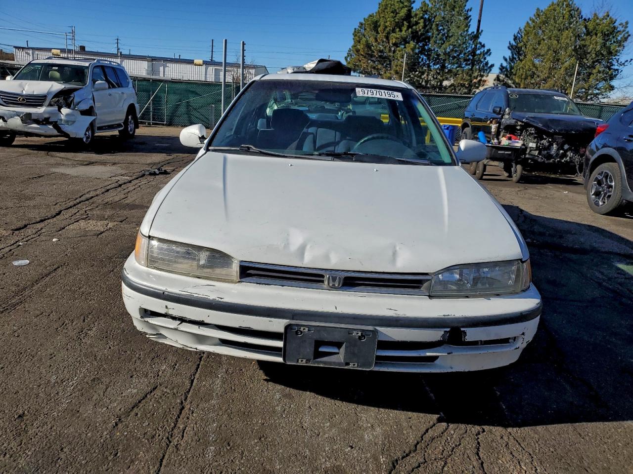 1993 HONDA ACCORD LX photo 5
