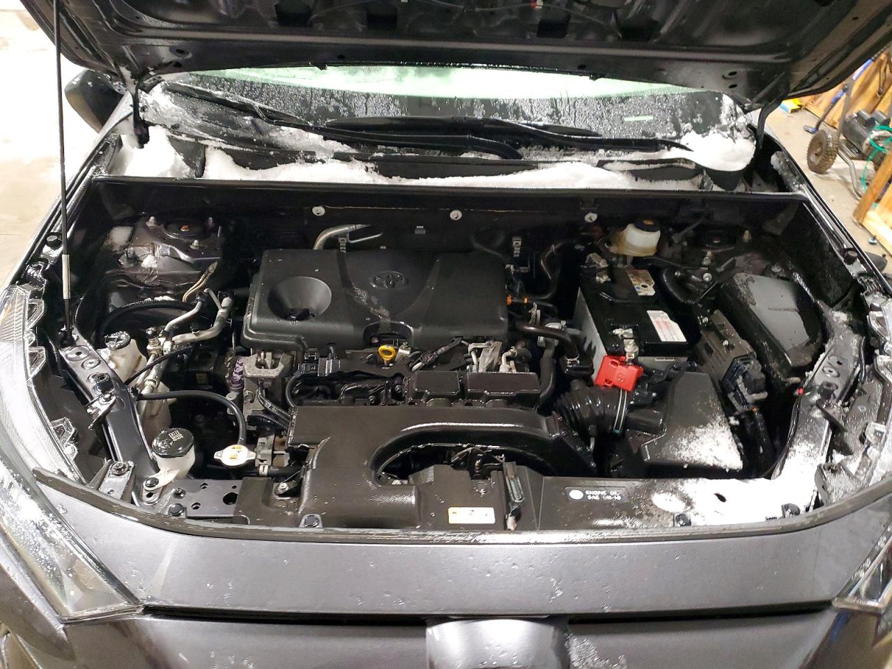 2019 TOYOTA RAV4 LE photo 12