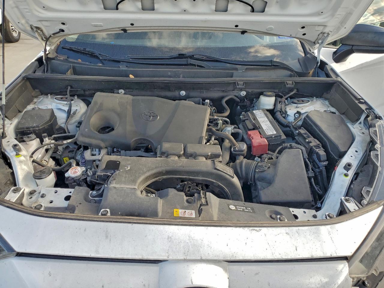 2019 TOYOTA RAV4 LE photo 12