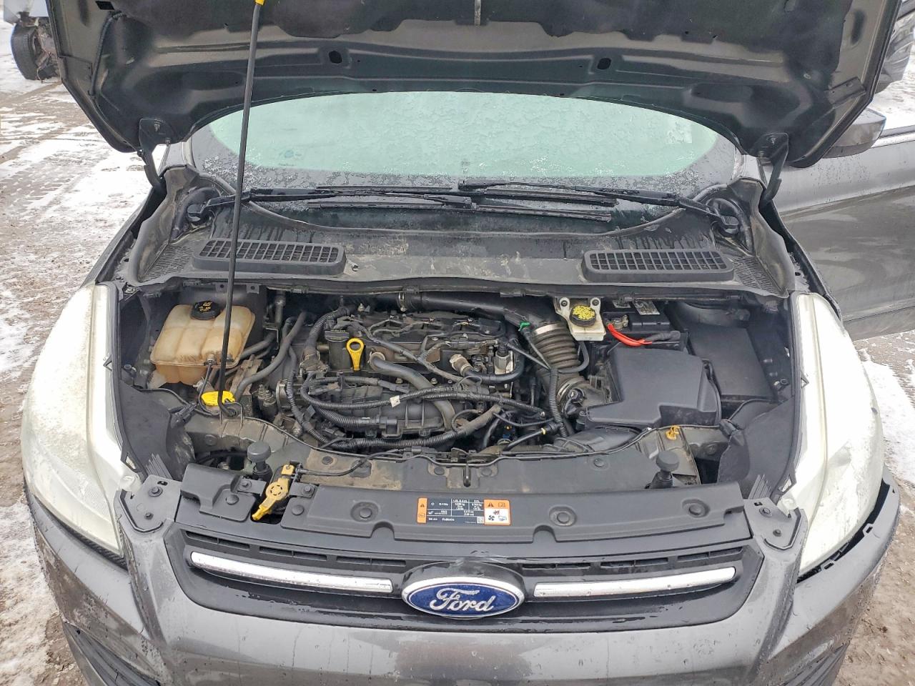 2015 FORD ESCAPE SE photo 12