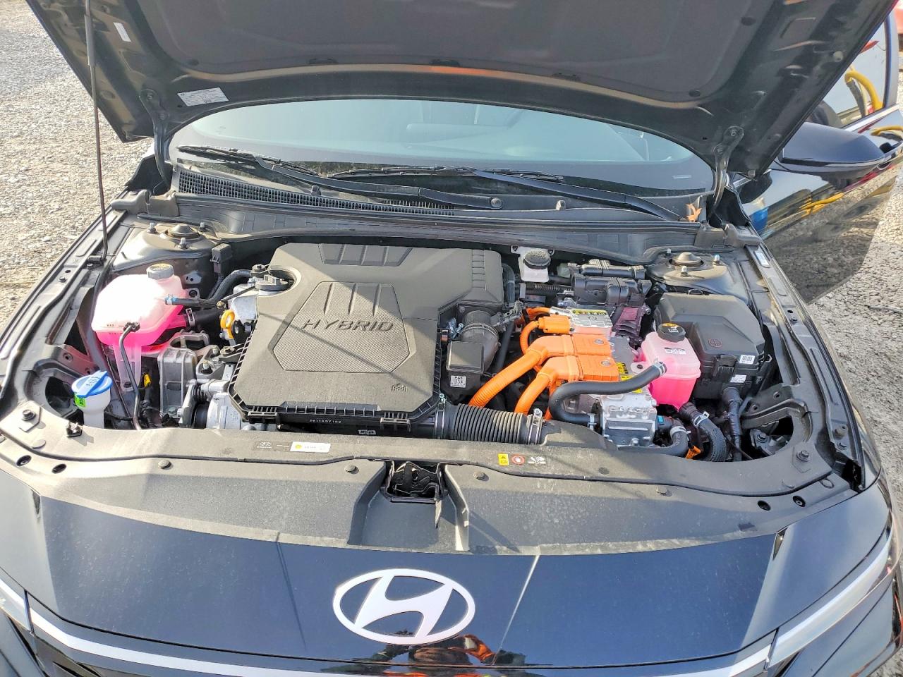 2025 HYUNDAI ELANTRA LIMITED photo 11