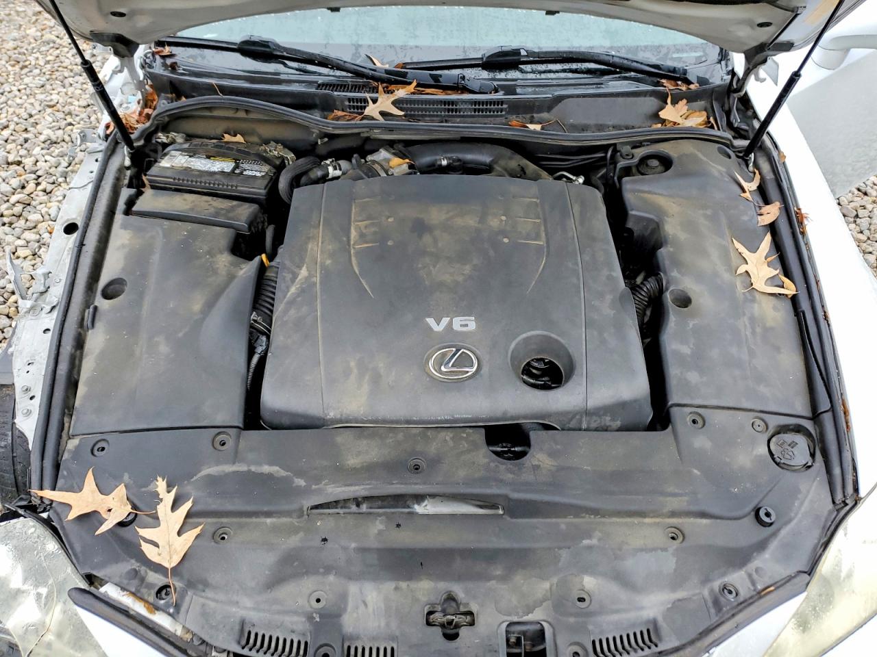 2008 LEXUS IS 250 photo 11