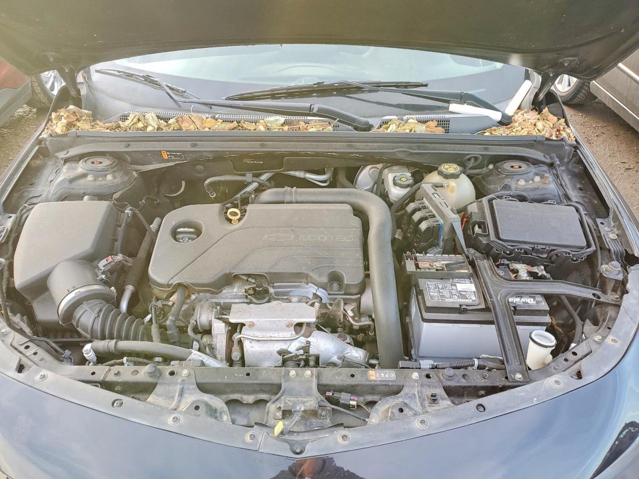 2017 CHEVROLET MALIBU LS photo 11