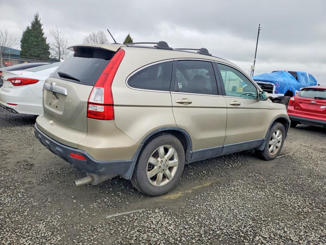 2007 HONDA CR-V EXL photo 3