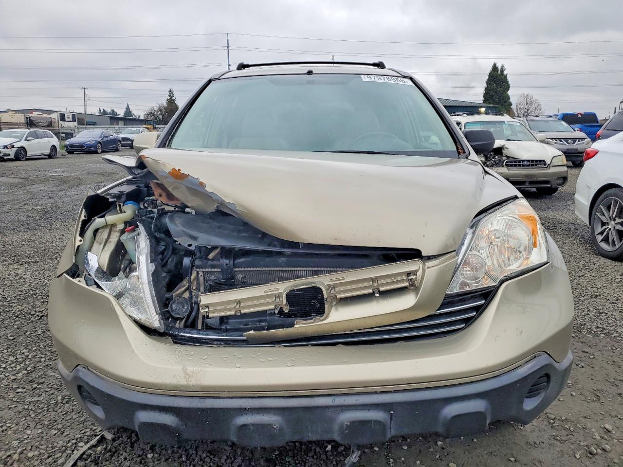 2007 HONDA CR-V EXL photo 5