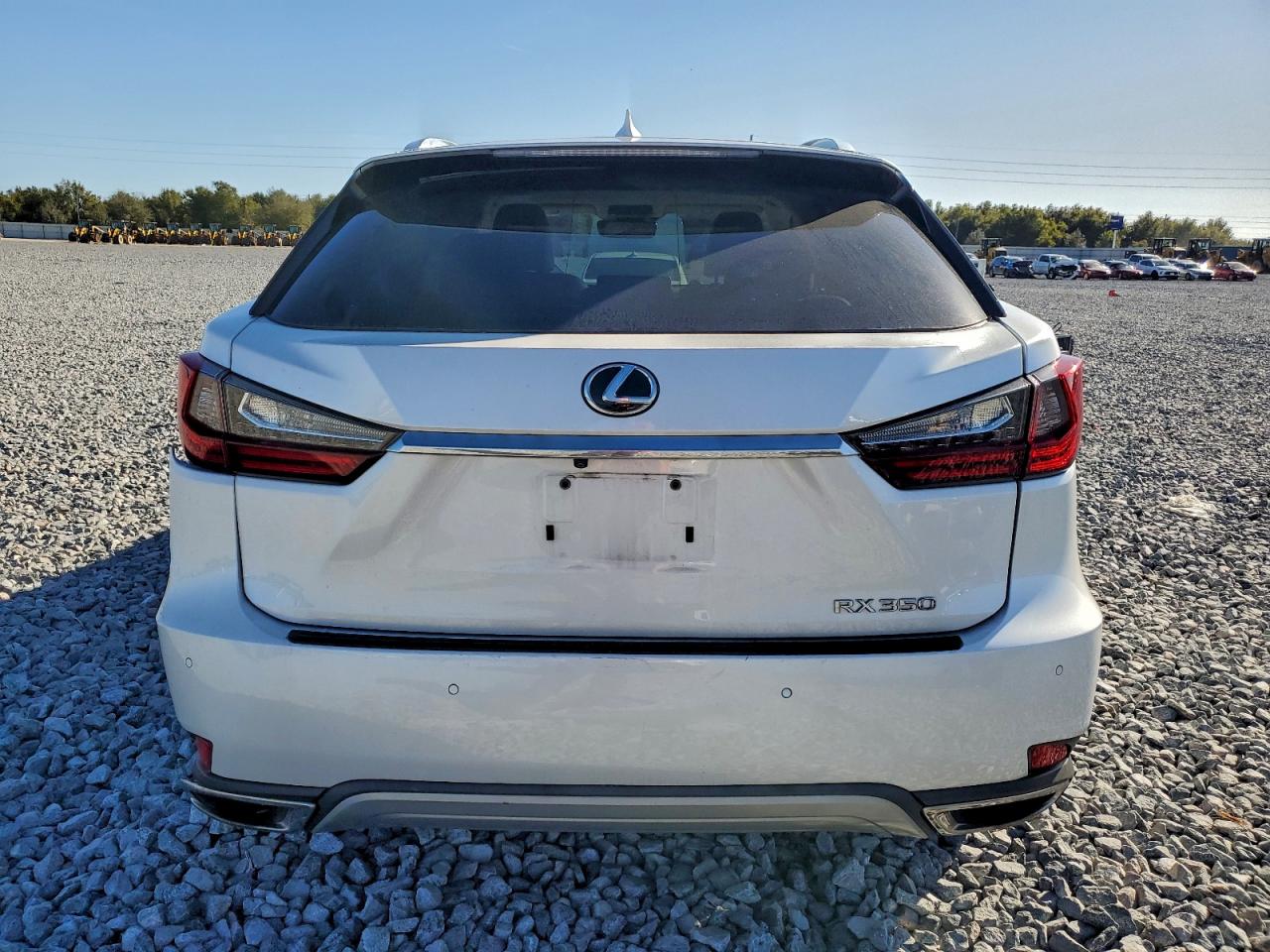 2020 LEXUS RX 350 photo 6