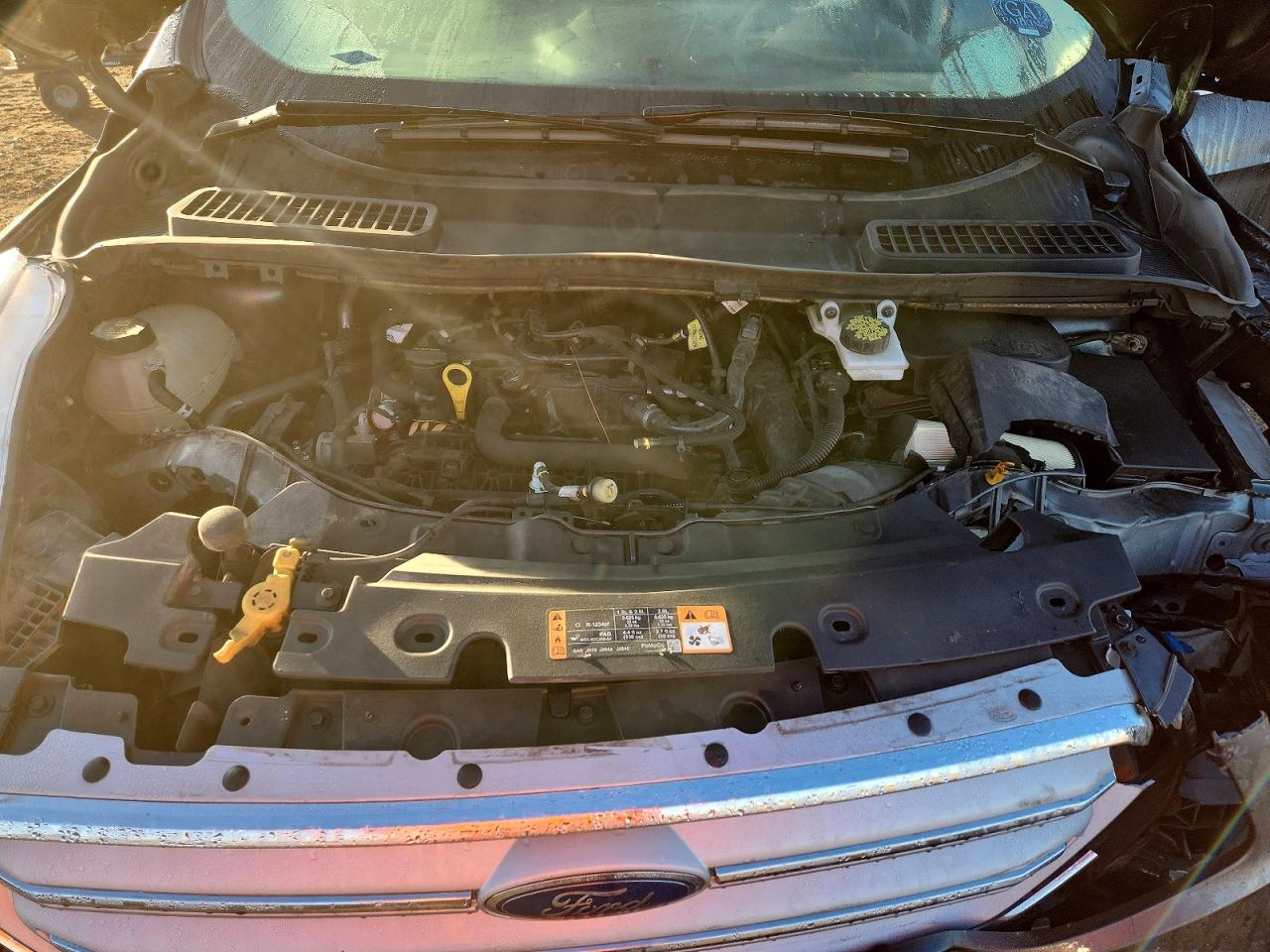2019 FORD ESCAPE SE photo 12