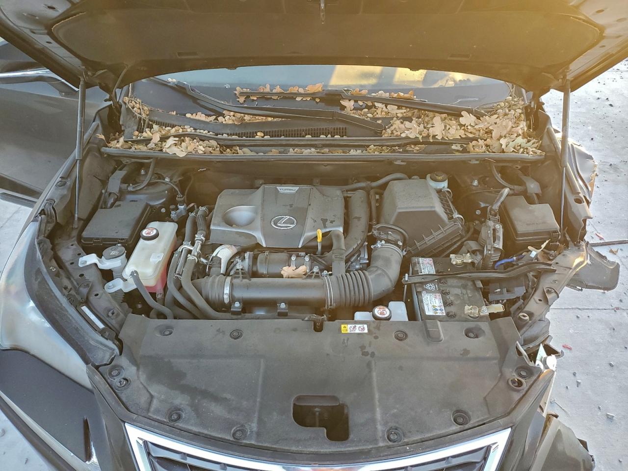2021 LEXUS NX 300 BASE photo 11