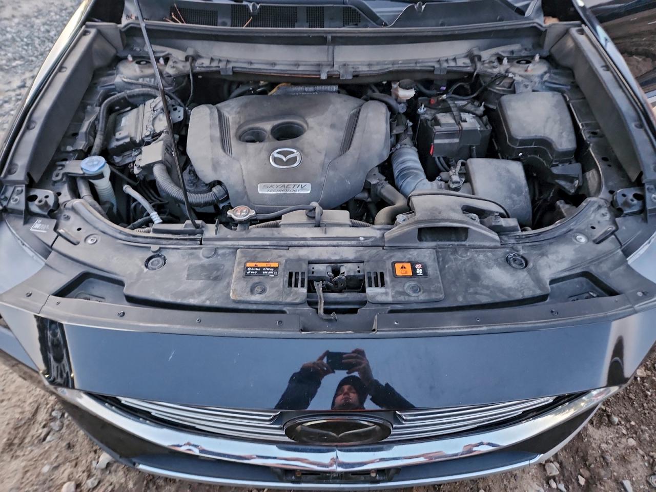 2018 MAZDA CX-9 SIGNATURE photo 12