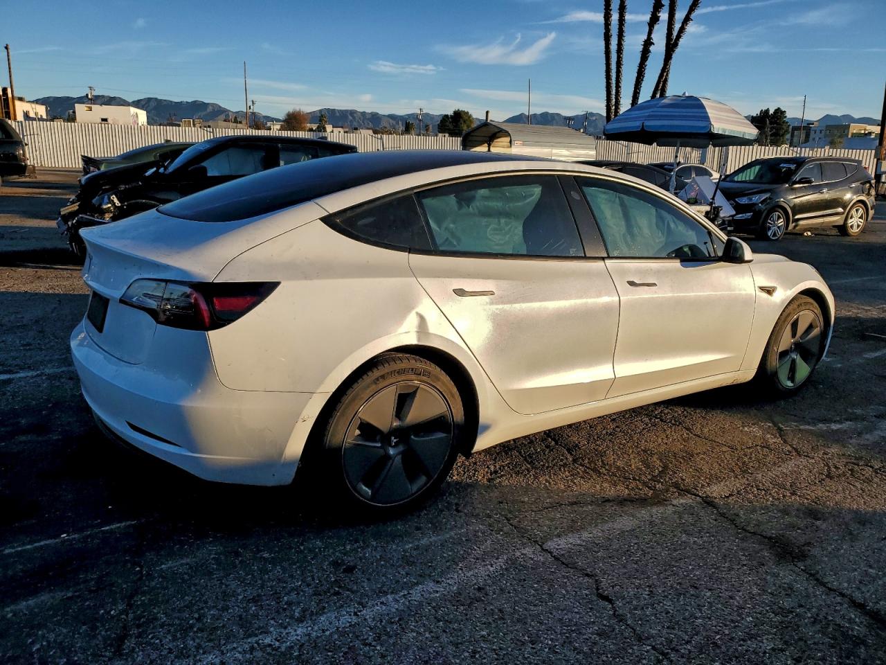 2021 TESLA MODEL 3 photo 3