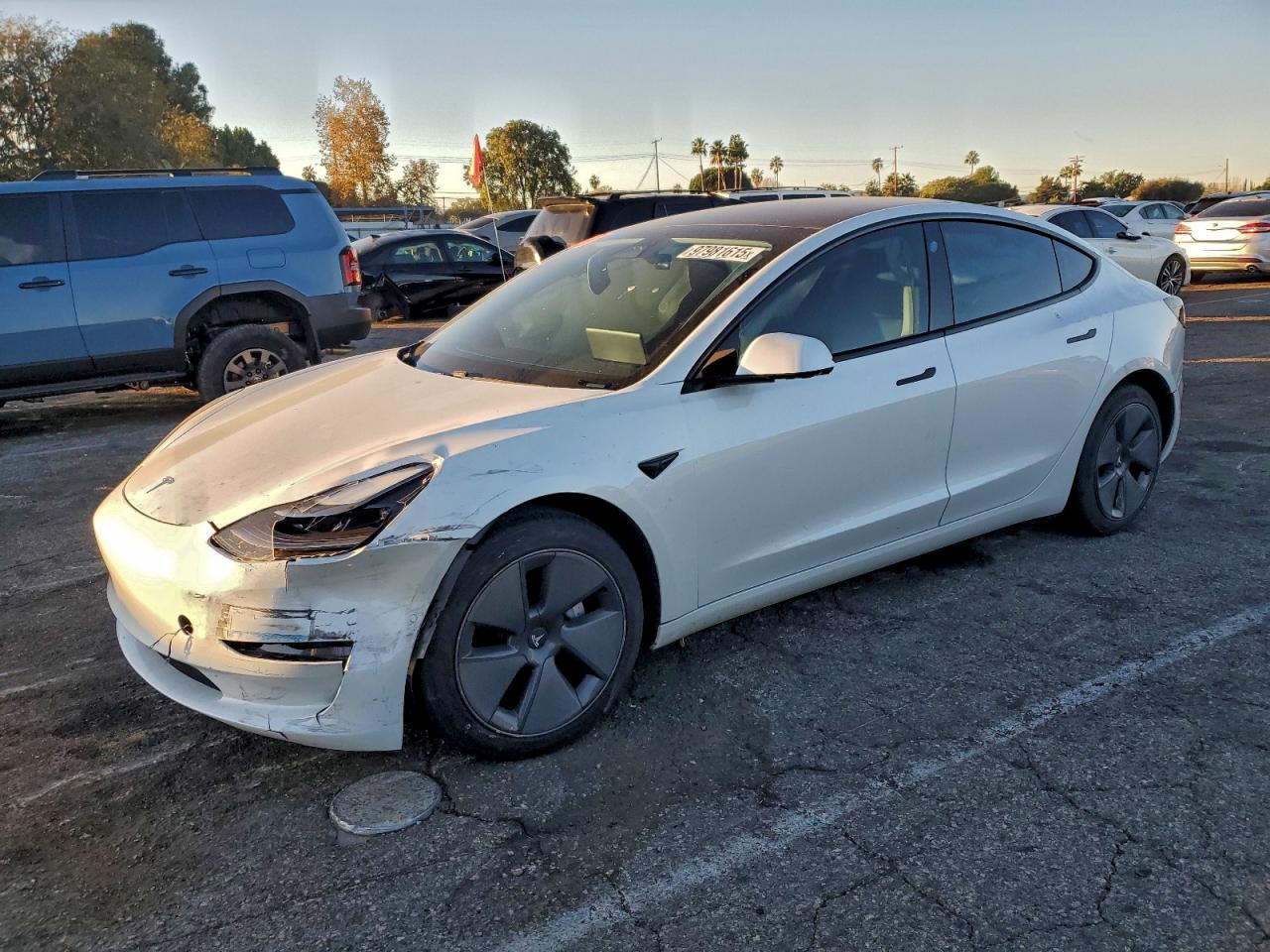 2021 TESLA MODEL 3