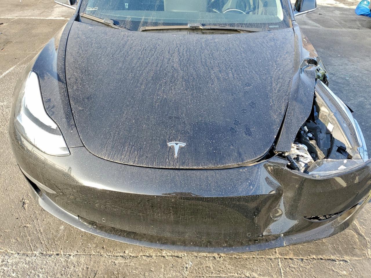 2019 TESLA MODEL 3 photo 11