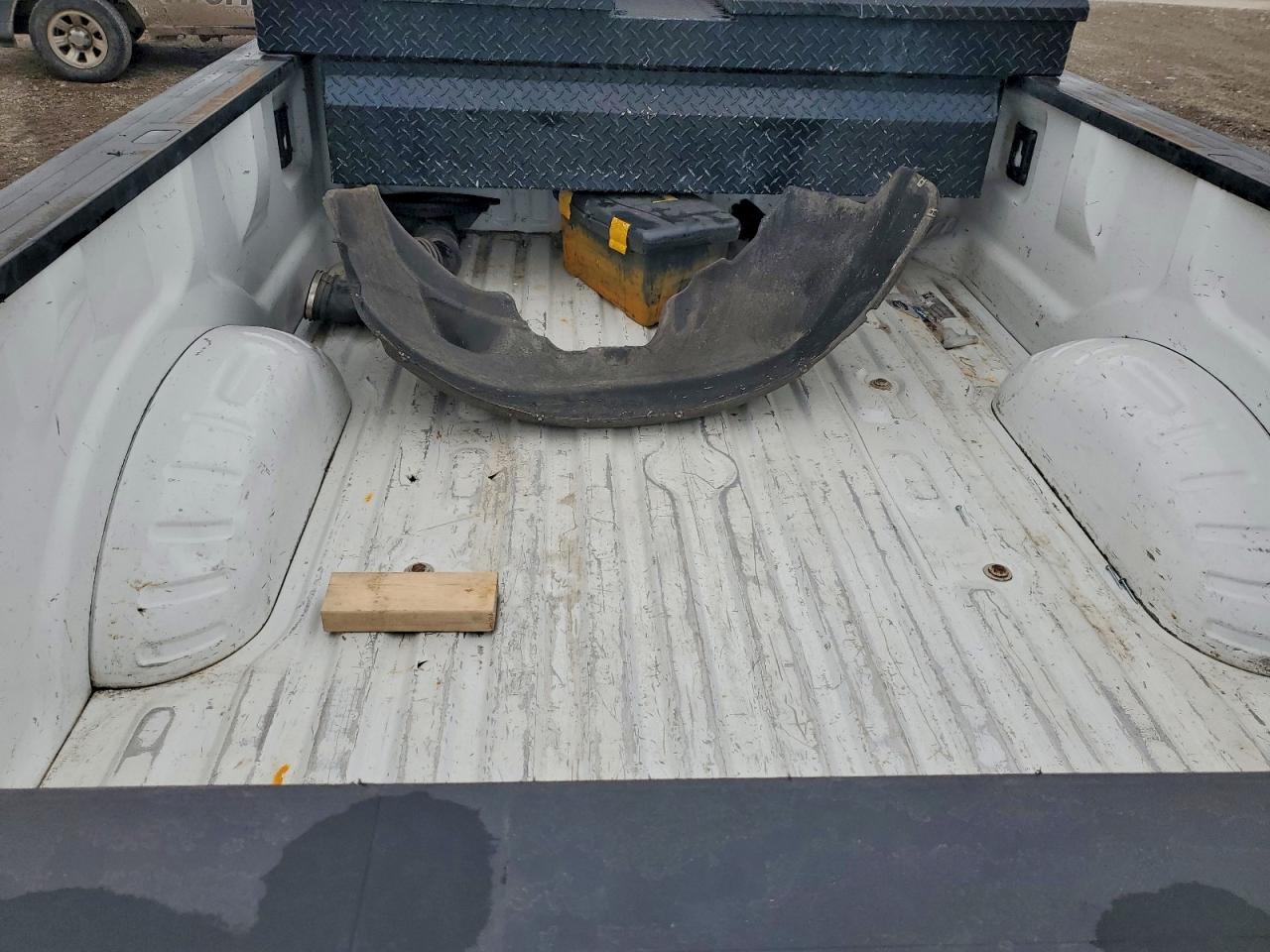 2017 FORD F250 SUPER DUTY photo 10