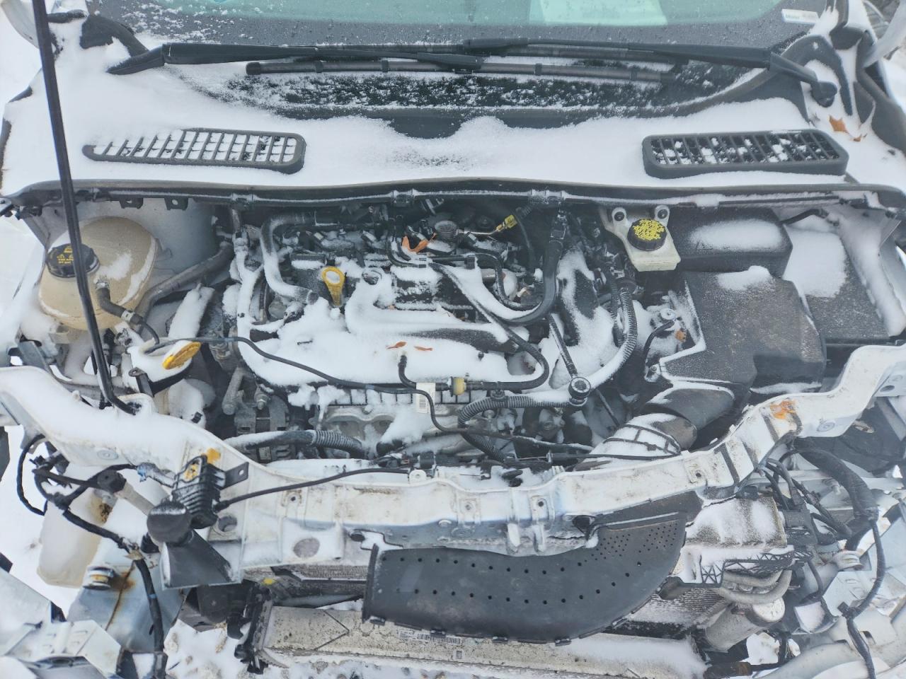 2019 FORD ESCAPE SE photo 11