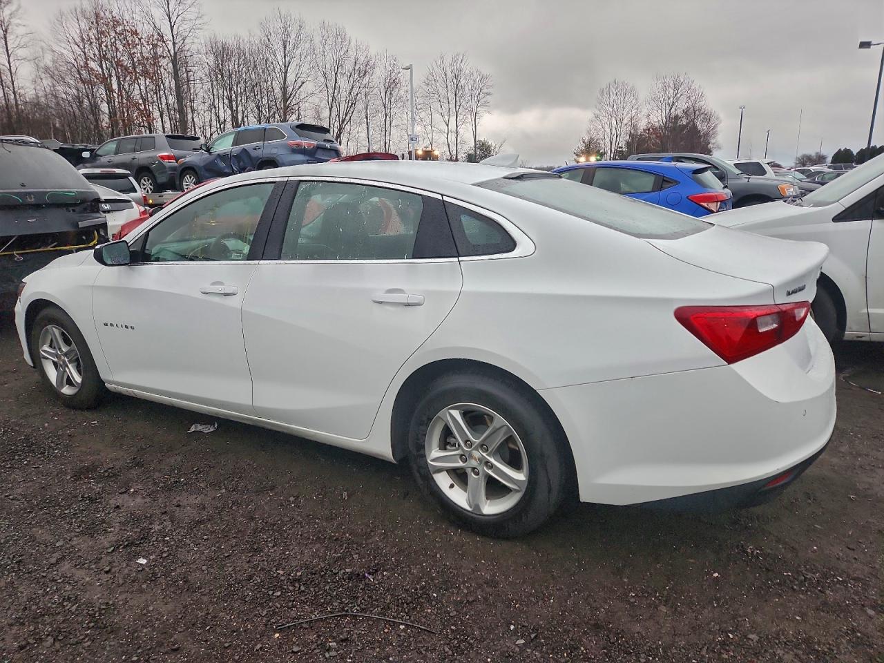 2024 CHEVROLET MALIBU LT photo 4