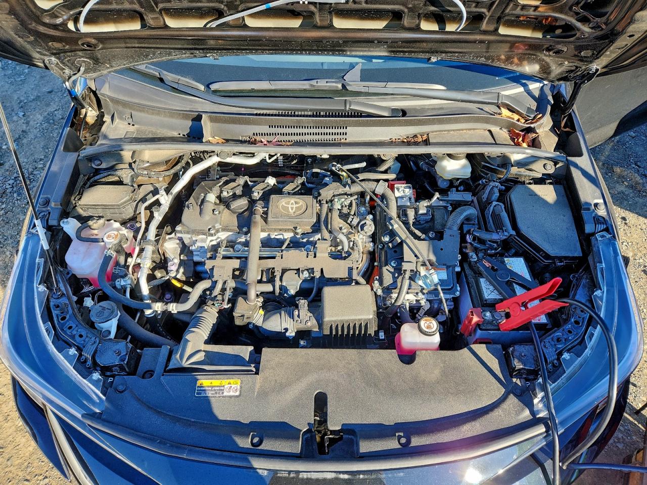 2025 TOYOTA COROLLA LE photo 11