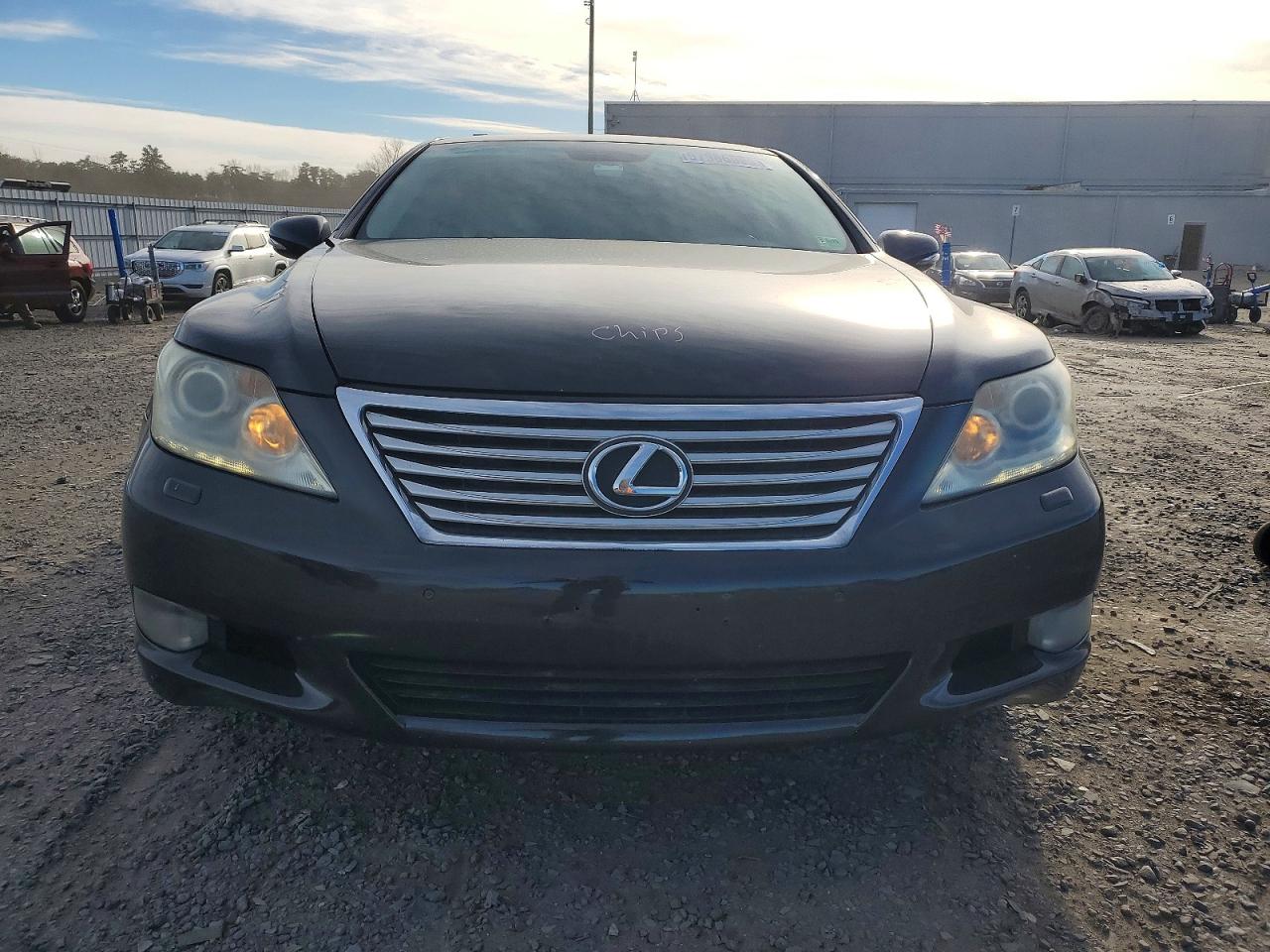 2010 LEXUS LS 460 photo 5