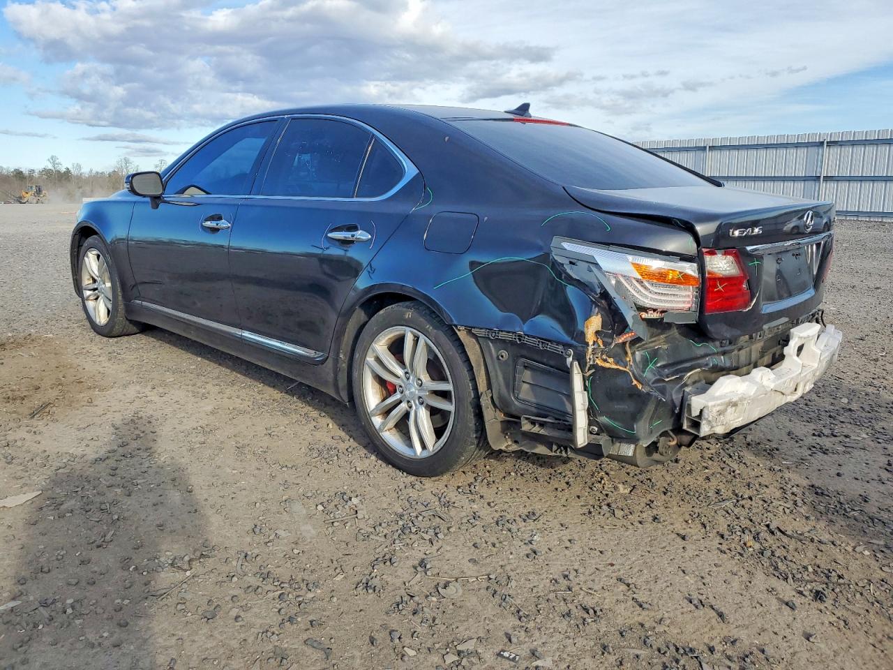 2010 LEXUS LS 460 photo 2