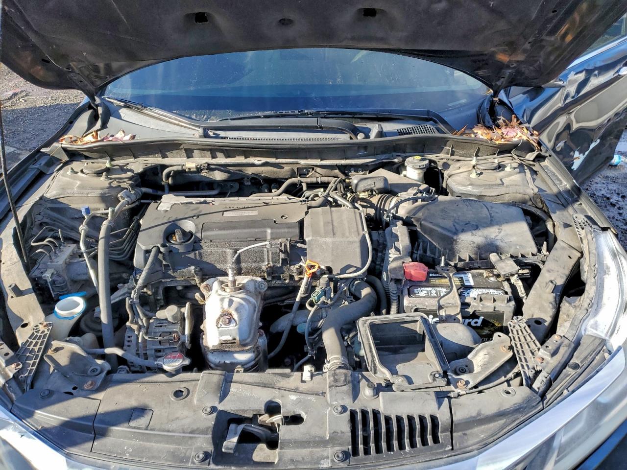 2017 HONDA ACCORD LX photo 11