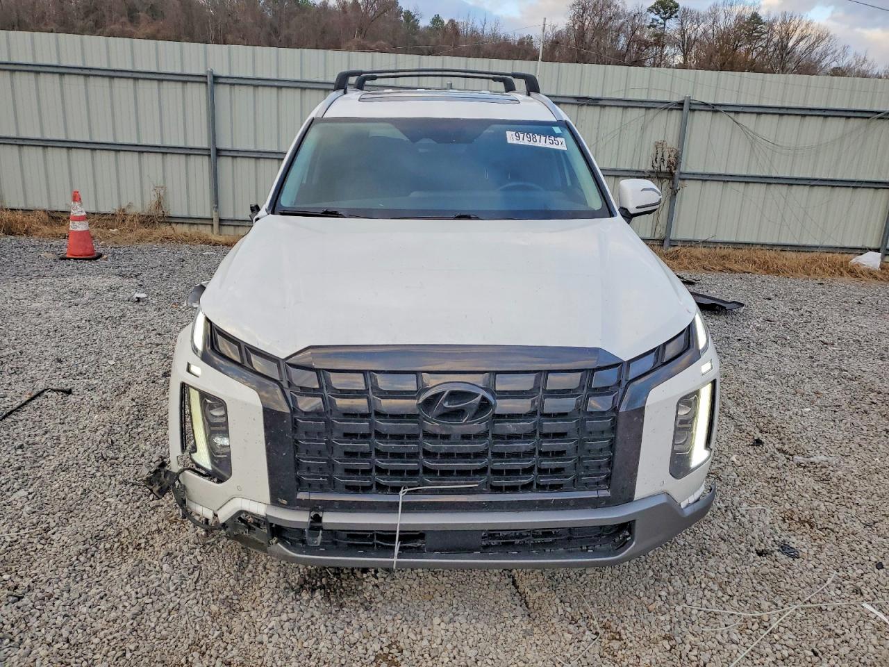 2024 HYUNDAI PALISADE LIMITED photo 5
