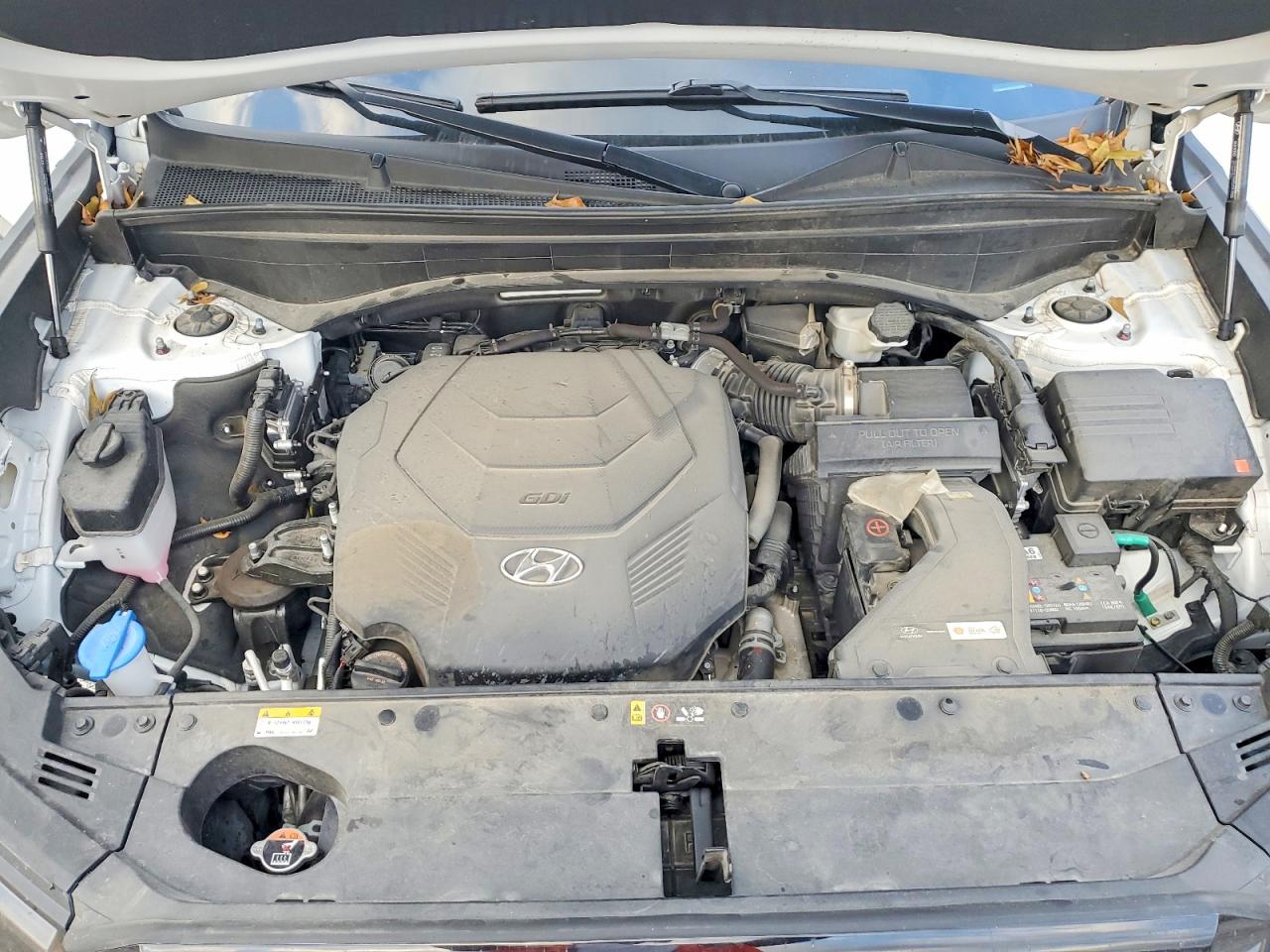 2024 HYUNDAI PALISADE LIMITED photo 12