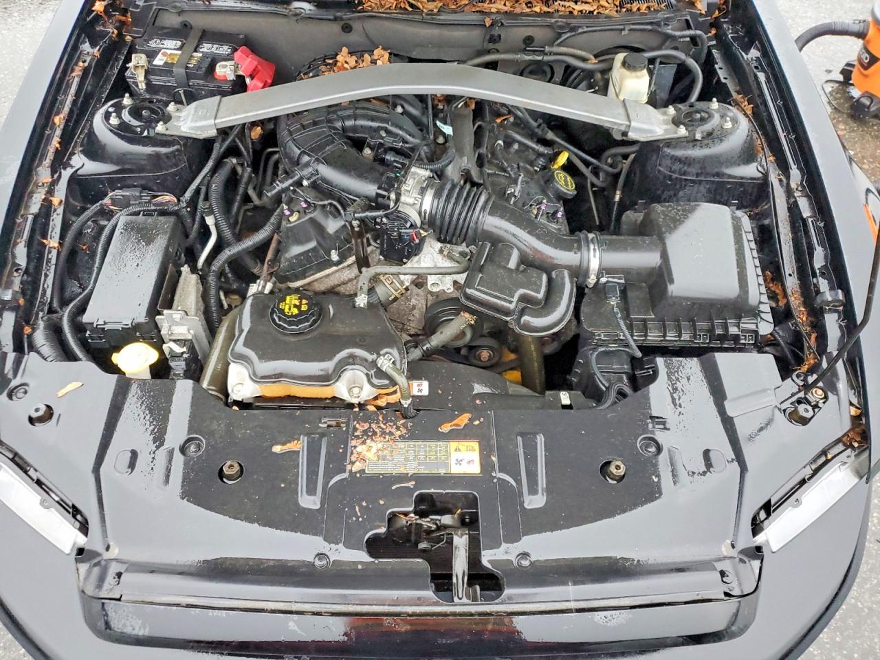 2014 FORD MUSTANG photo 11