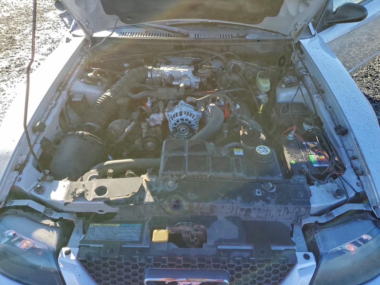 2003 FORD MUSTANG GT photo 11