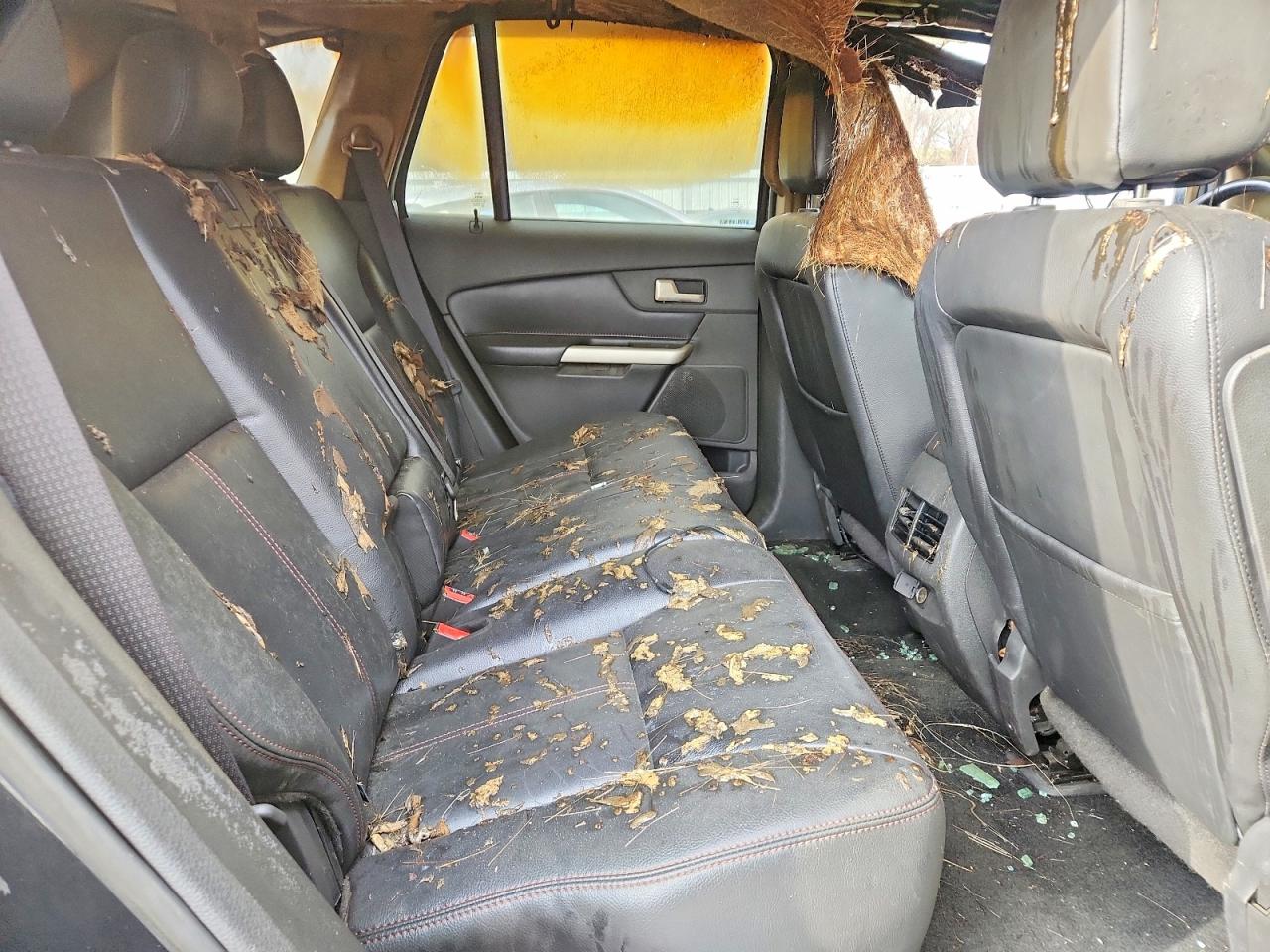 2013 FORD EDGE SEL photo 11