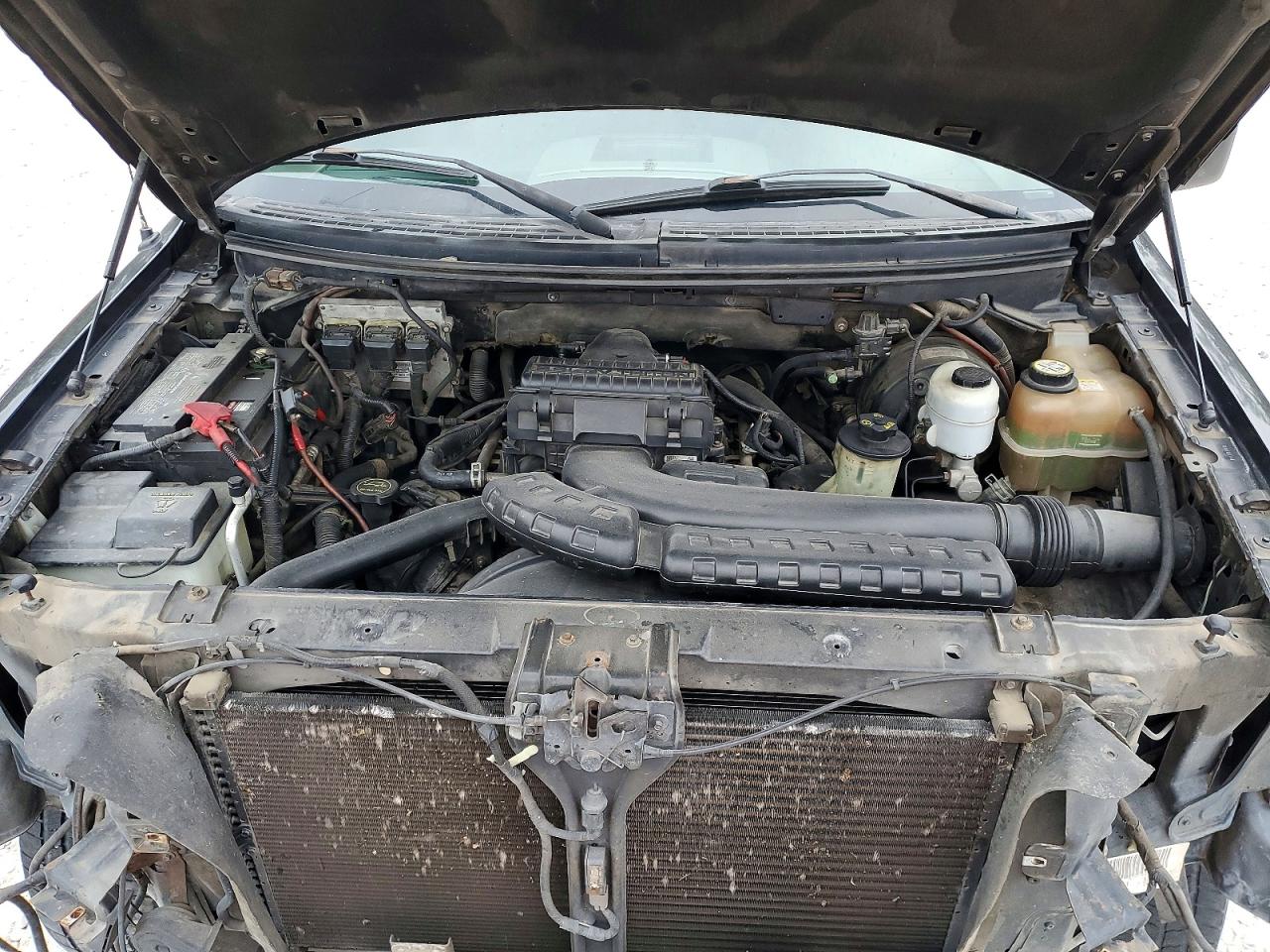 2004 FORD F150 SUPERCREW photo 11