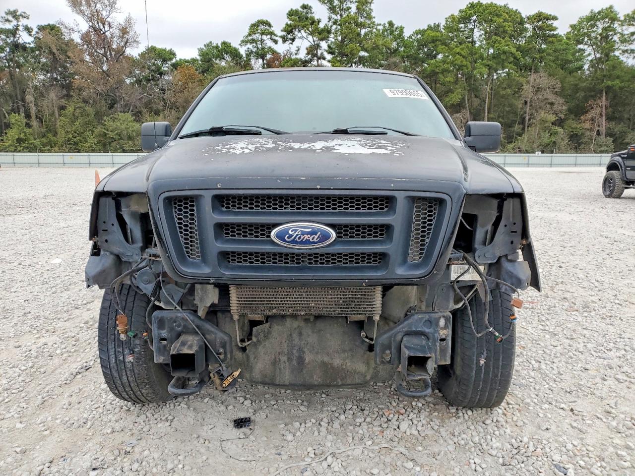 2004 FORD F150 SUPERCREW photo 5
