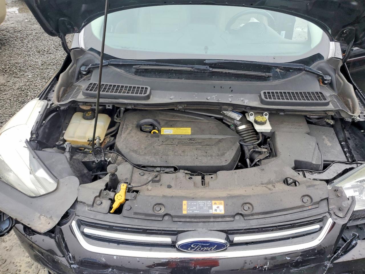 2013 FORD ESCAPE SEL photo 12