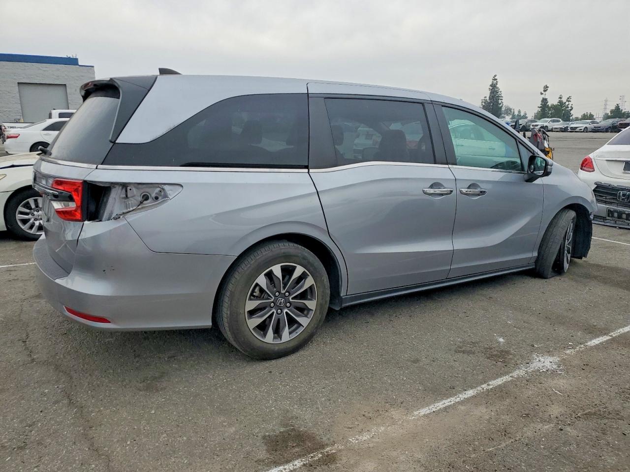 2023 HONDA ODYSSEY EXL photo 3