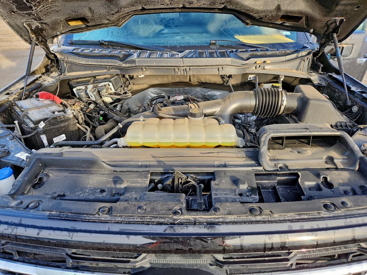 2025 FORD F150 XLT photo 11