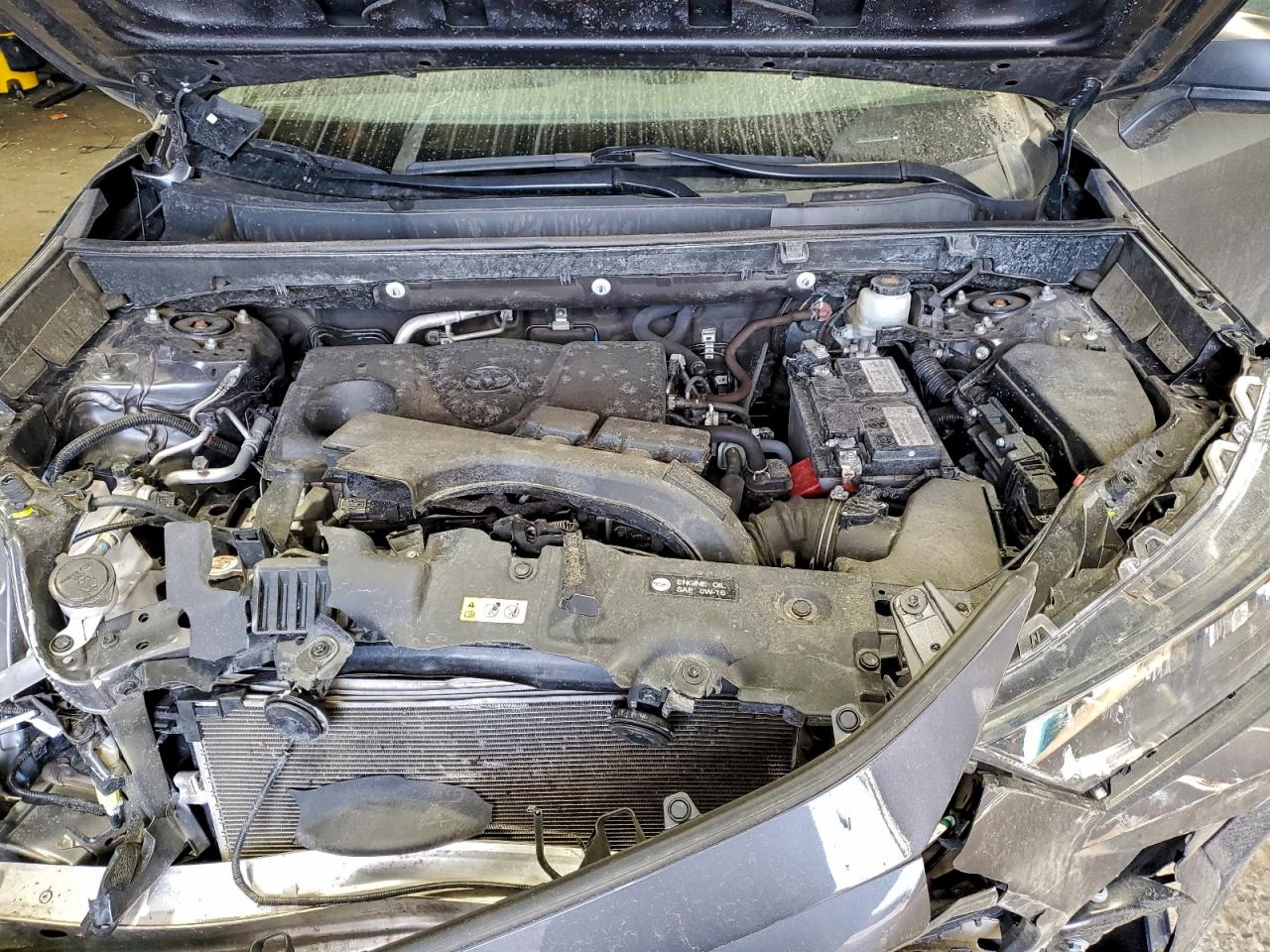 2019 TOYOTA RAV4 LE photo 12
