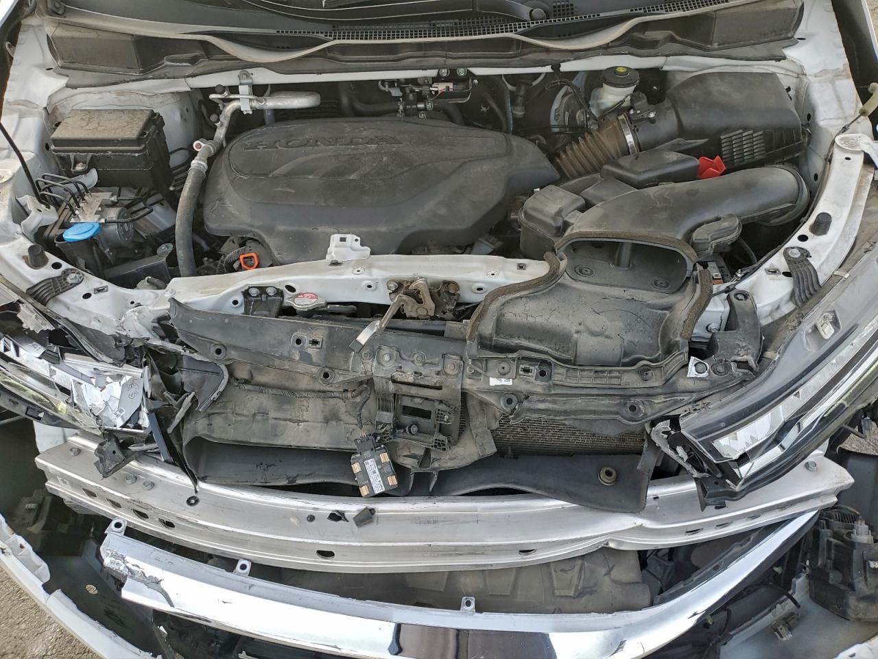 2023 HONDA ODYSSEY ELITE photo 12