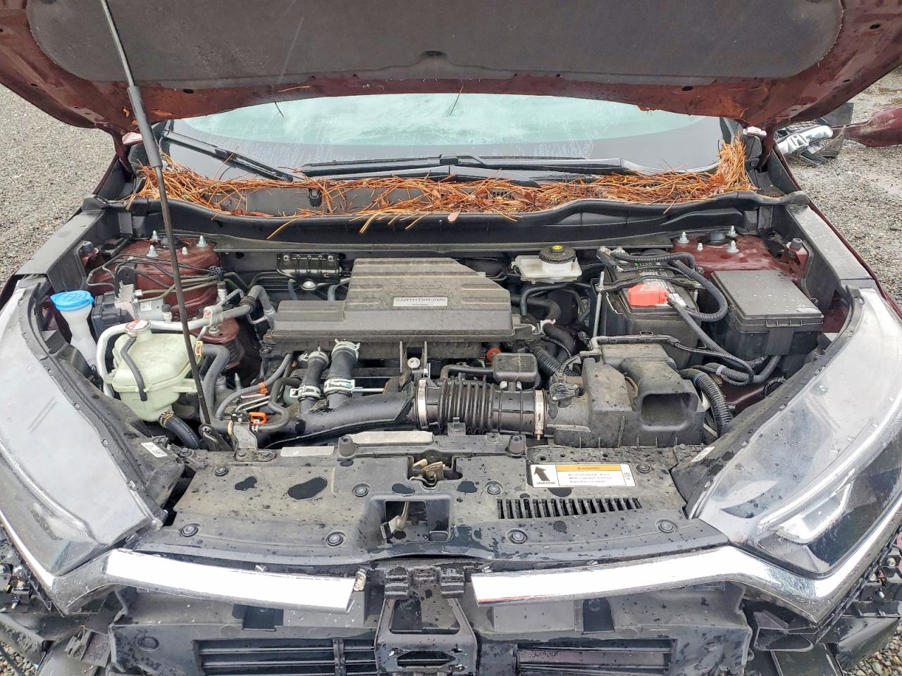 2018 HONDA CR-V EXL photo 12